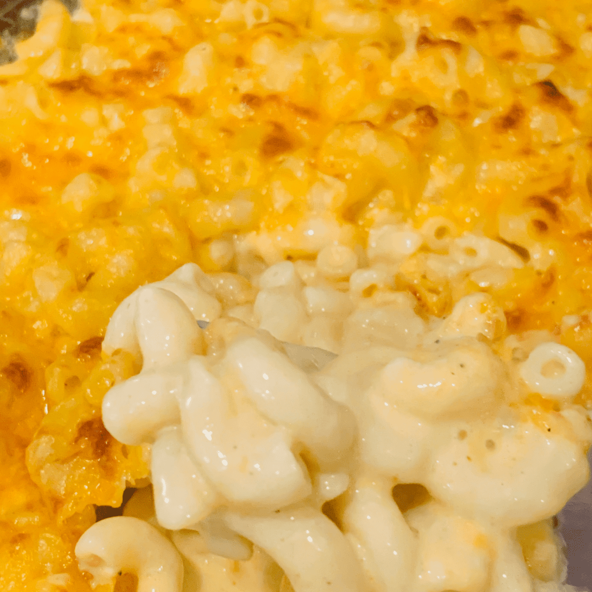 southern macaroni and cheese