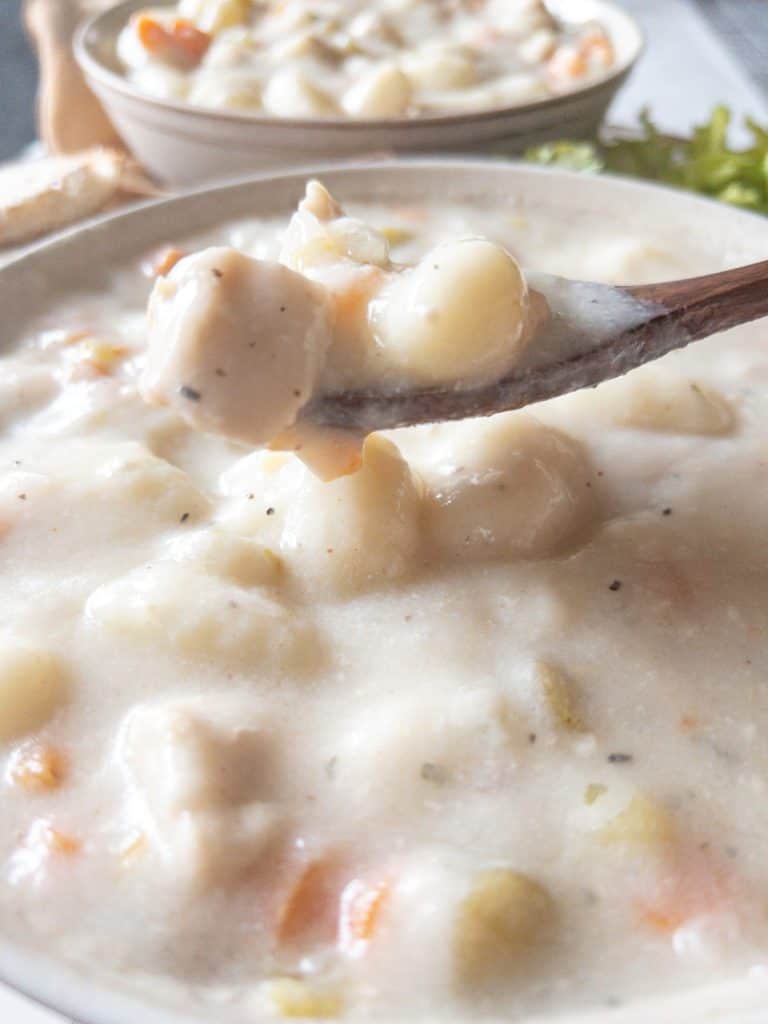 close-up of chicken and gnocchi soup on a spoon