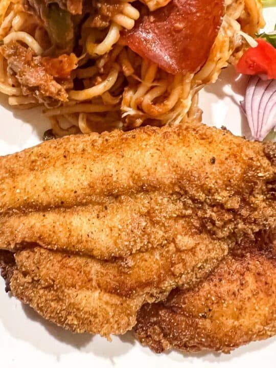 Crispy Southern Fried Catfish - Razzle Dazzle Life