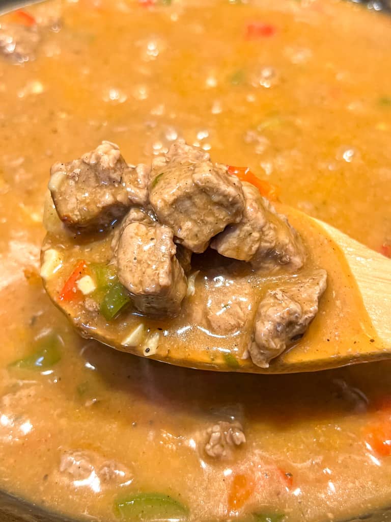 close up view of carne guisada in a pot