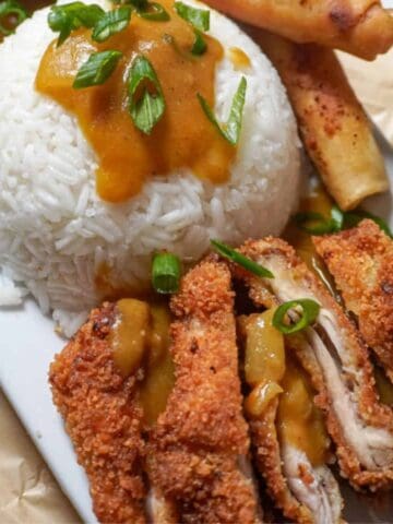 plated chicken katsu with white rice