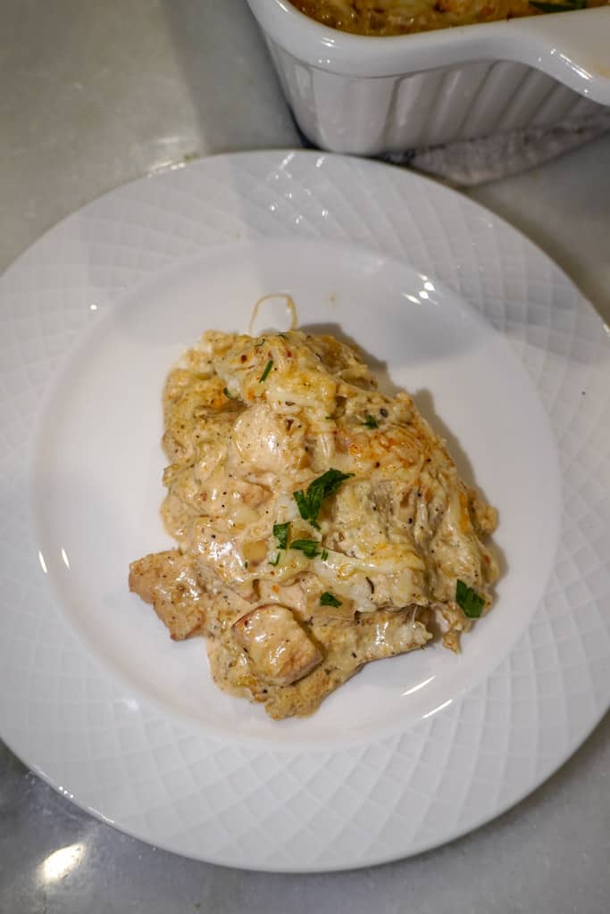 plated chicken alfredo lasagna