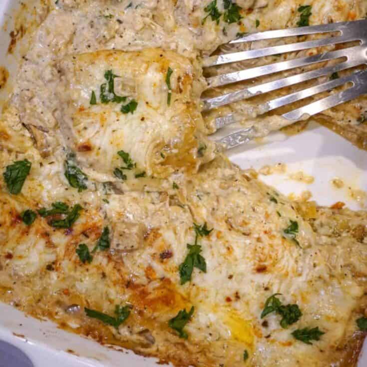 close up view of chicken alfredo lasagna in a baking dish with a spatula inserted